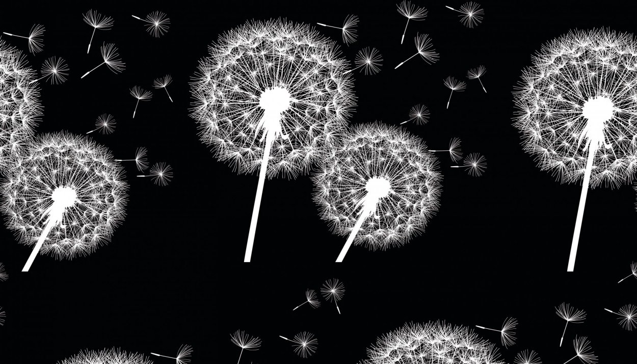 Фон для твиттера