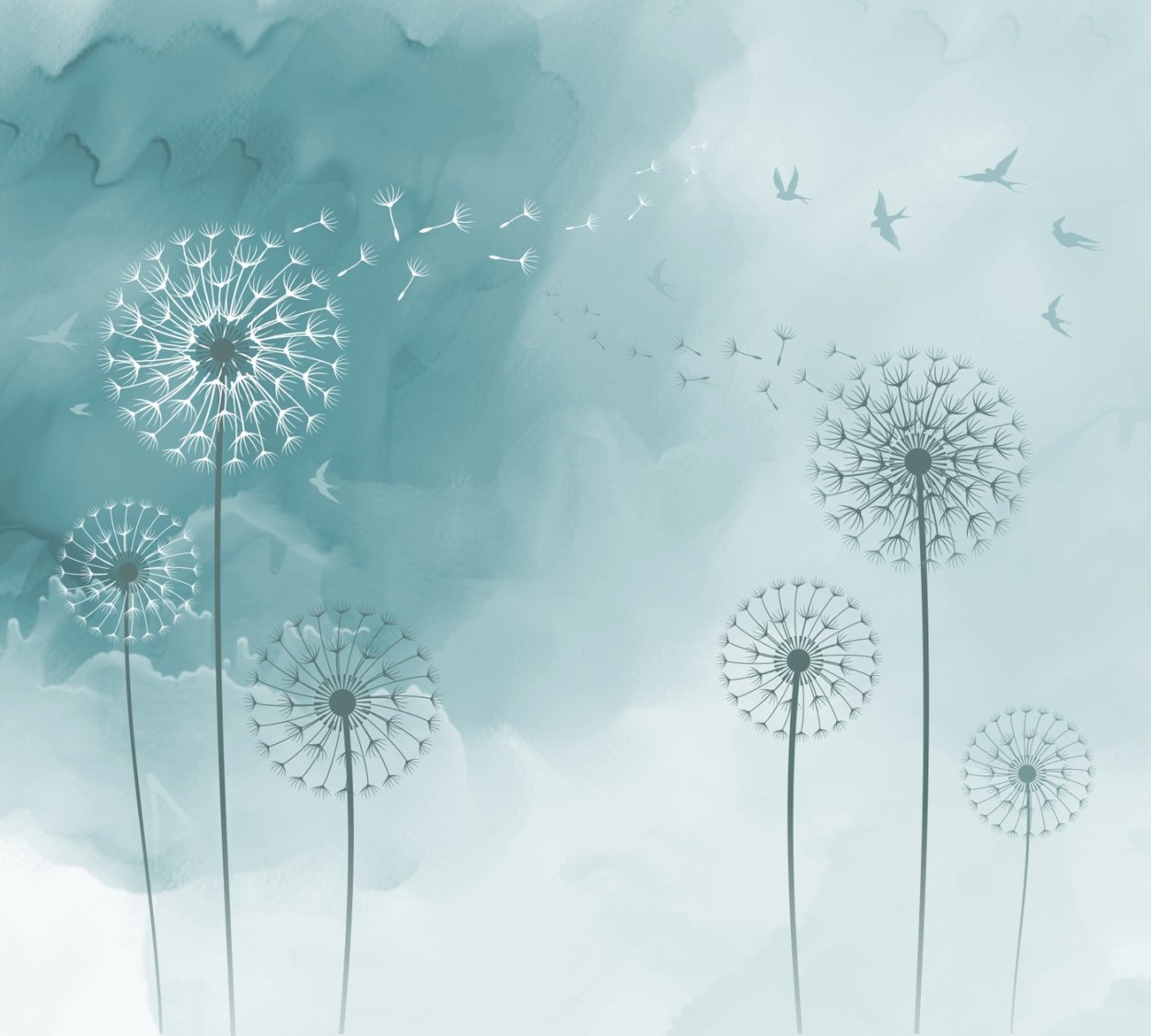 Одуванчик черно белый