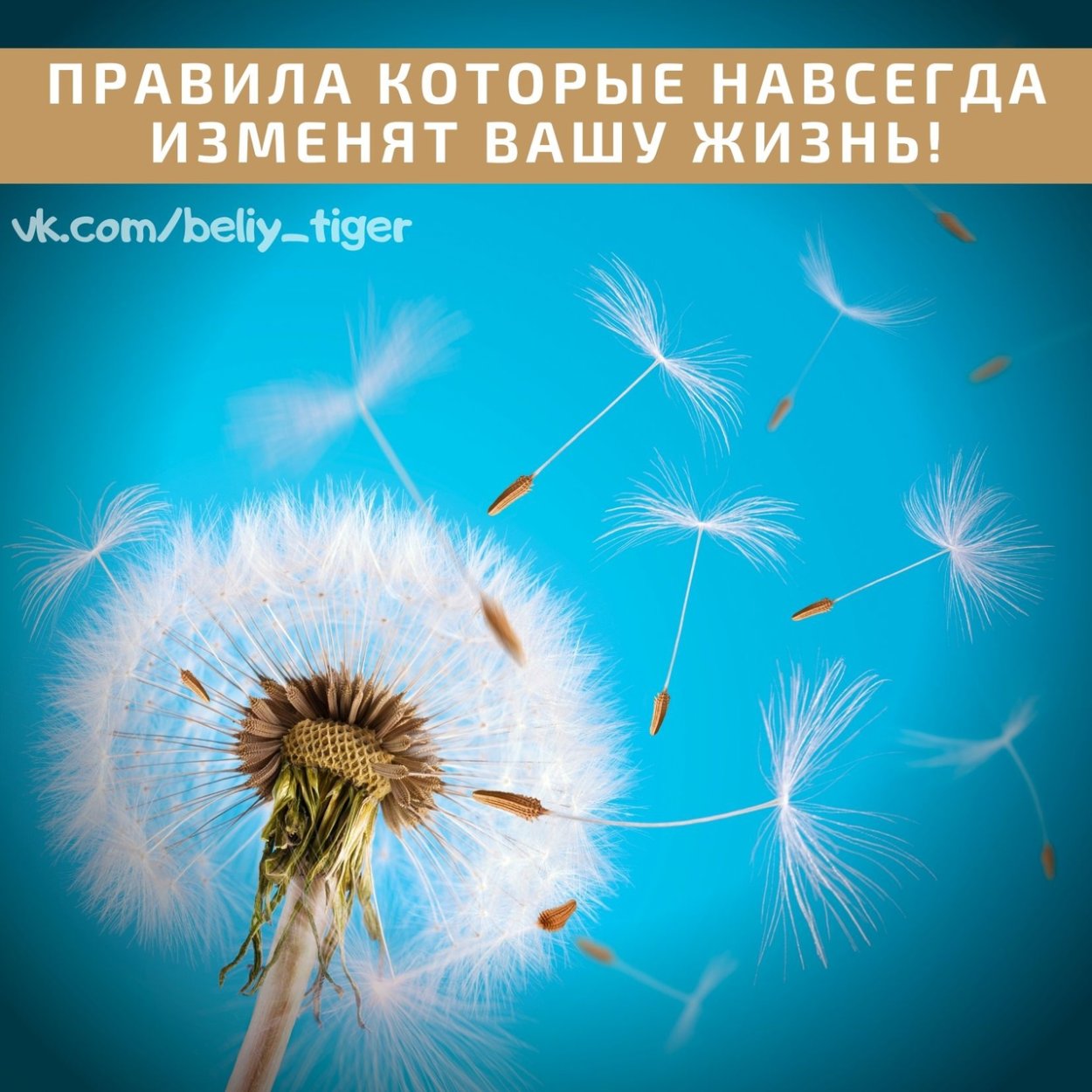 Летний фон для детей