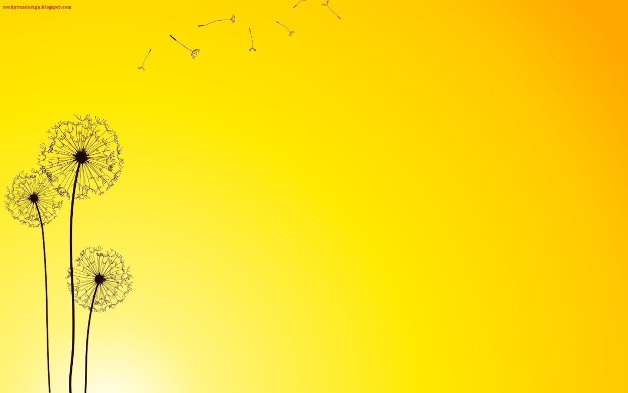 Одуванчики на оранжевом фоне