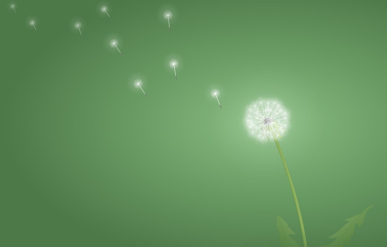 Одуванчик Минимализм