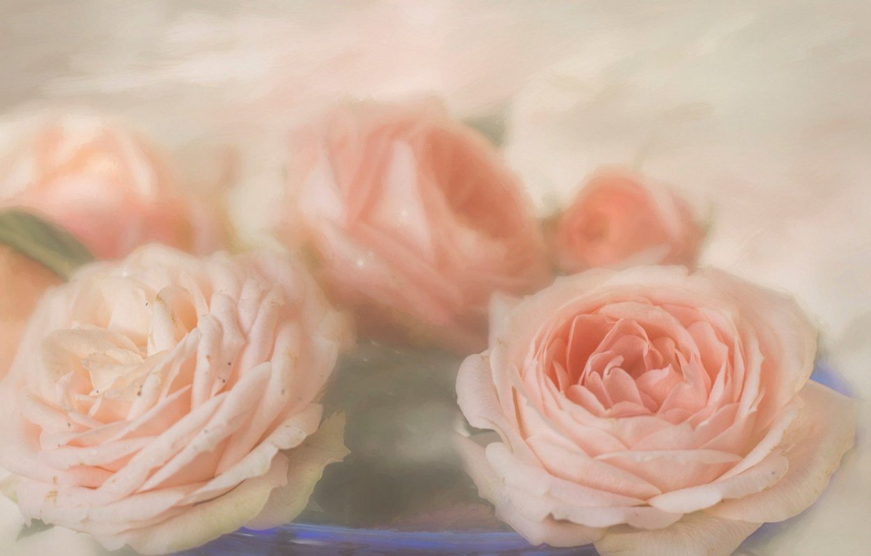 Цветы в пастельных тонах