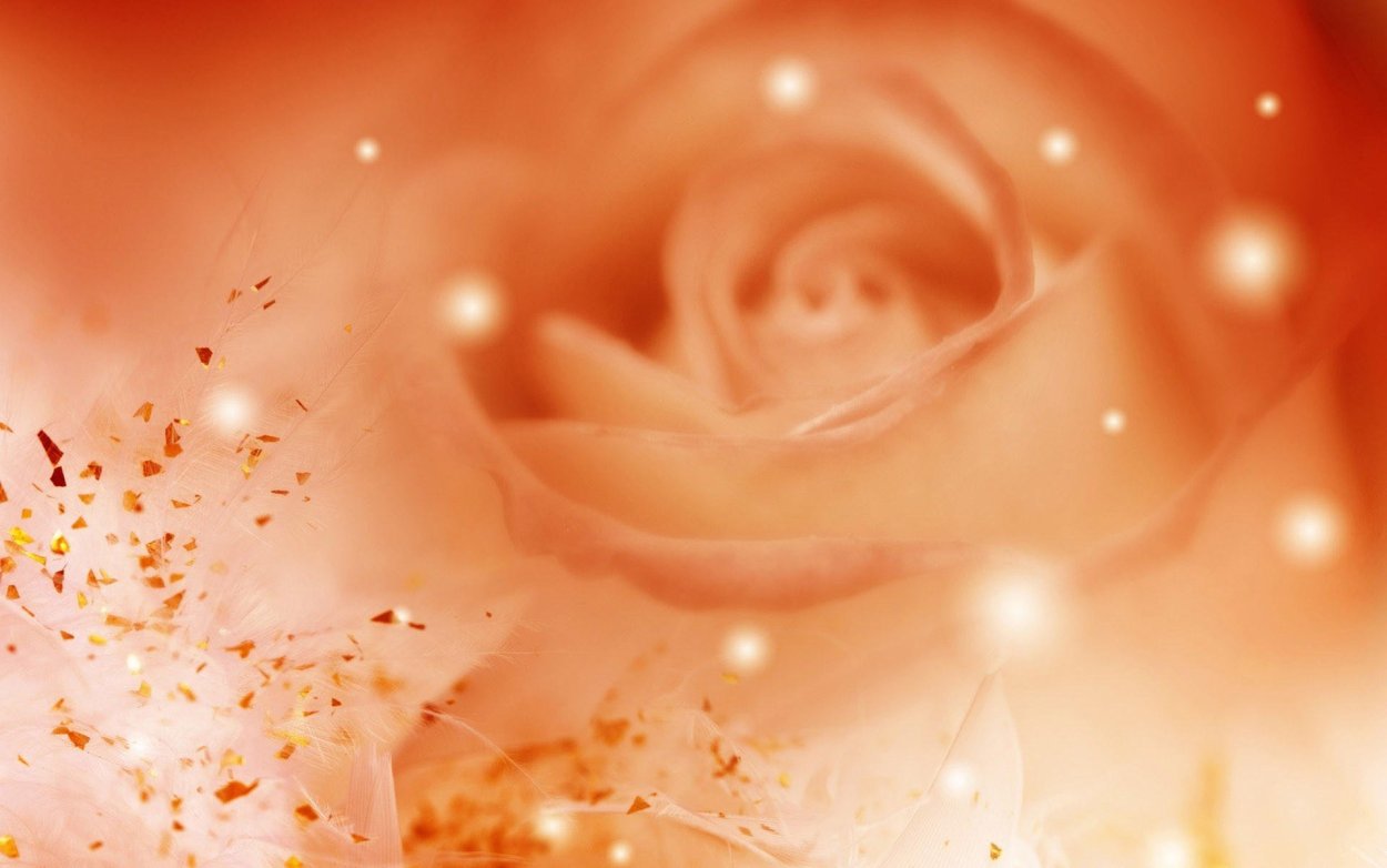 Персиковый фон