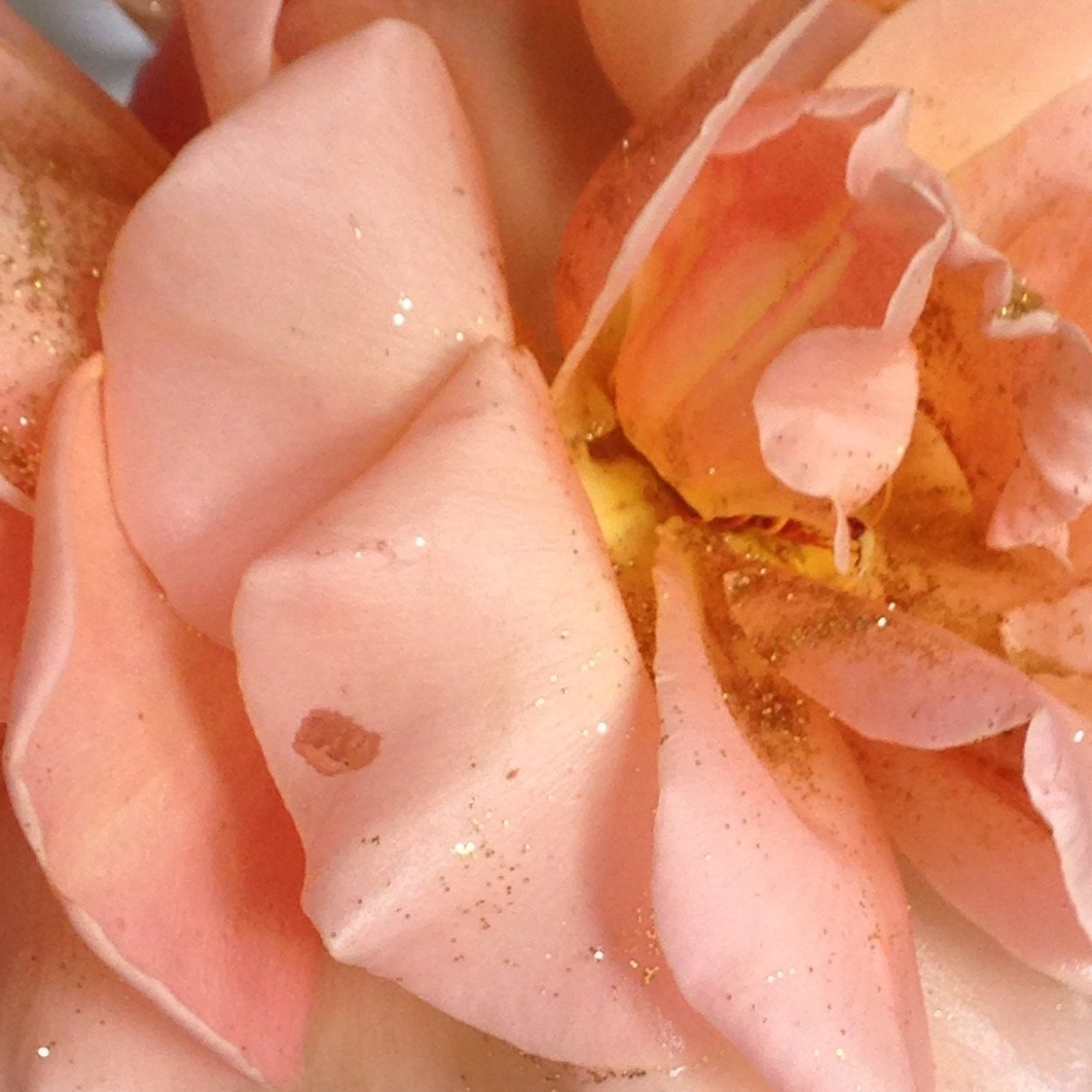 Персиково розовый