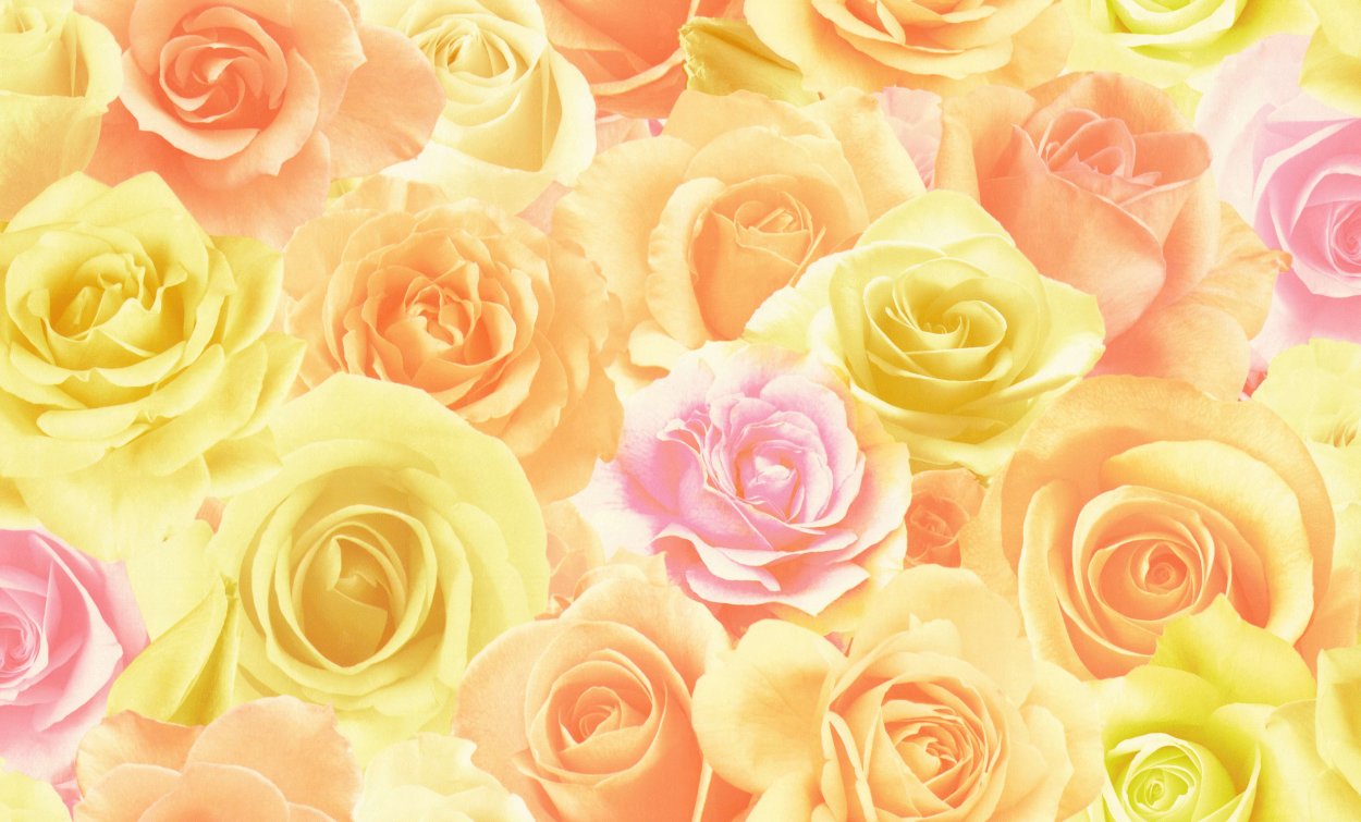 Персиковый фон