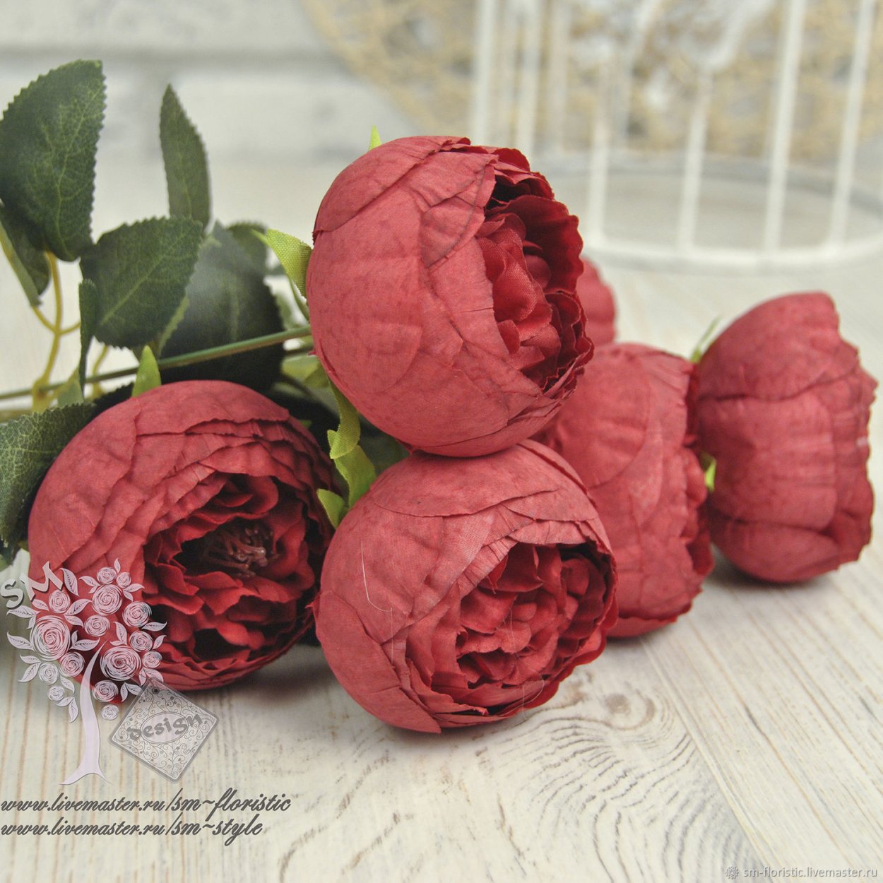 Пион Корал чашелистик