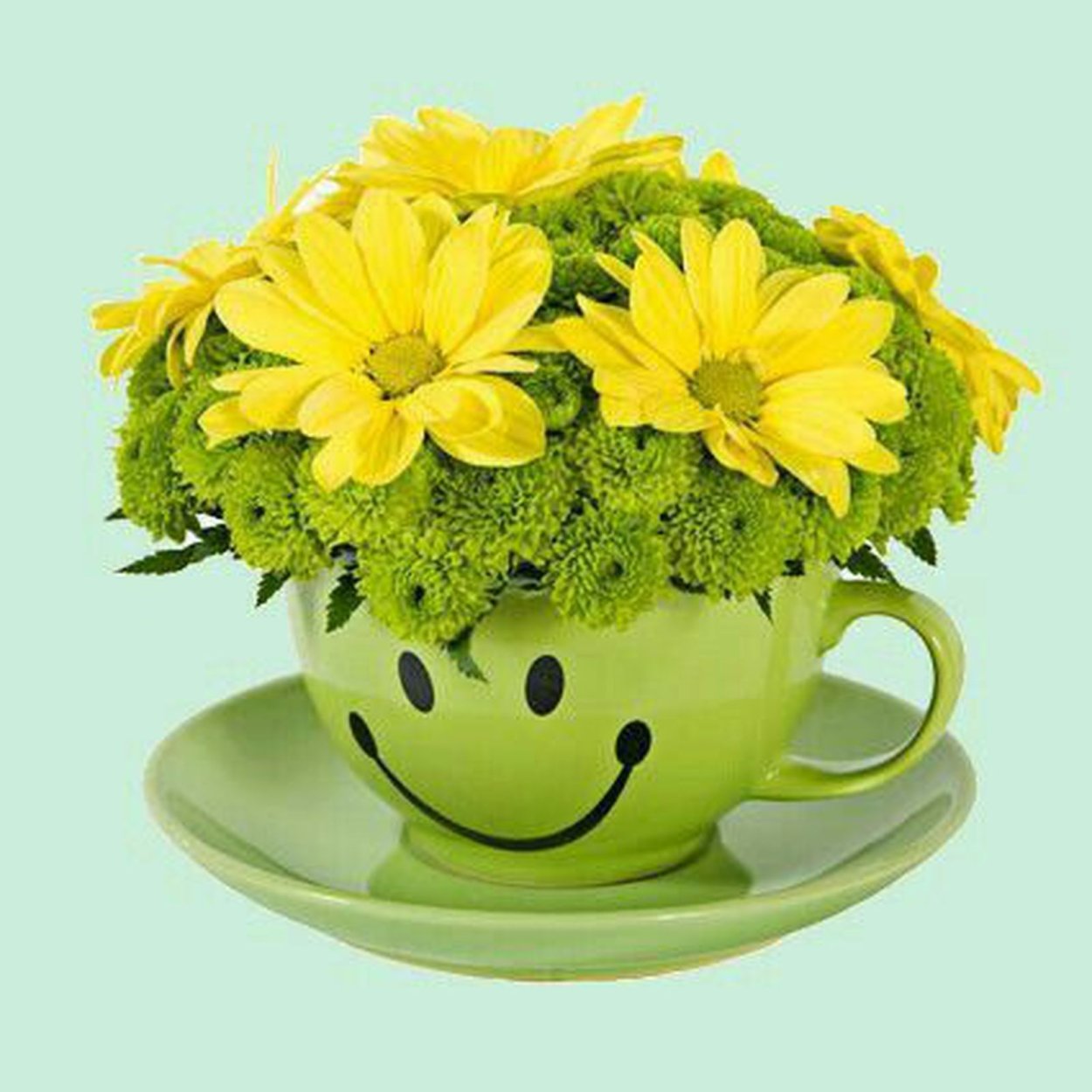 Мимоза и чай доброе