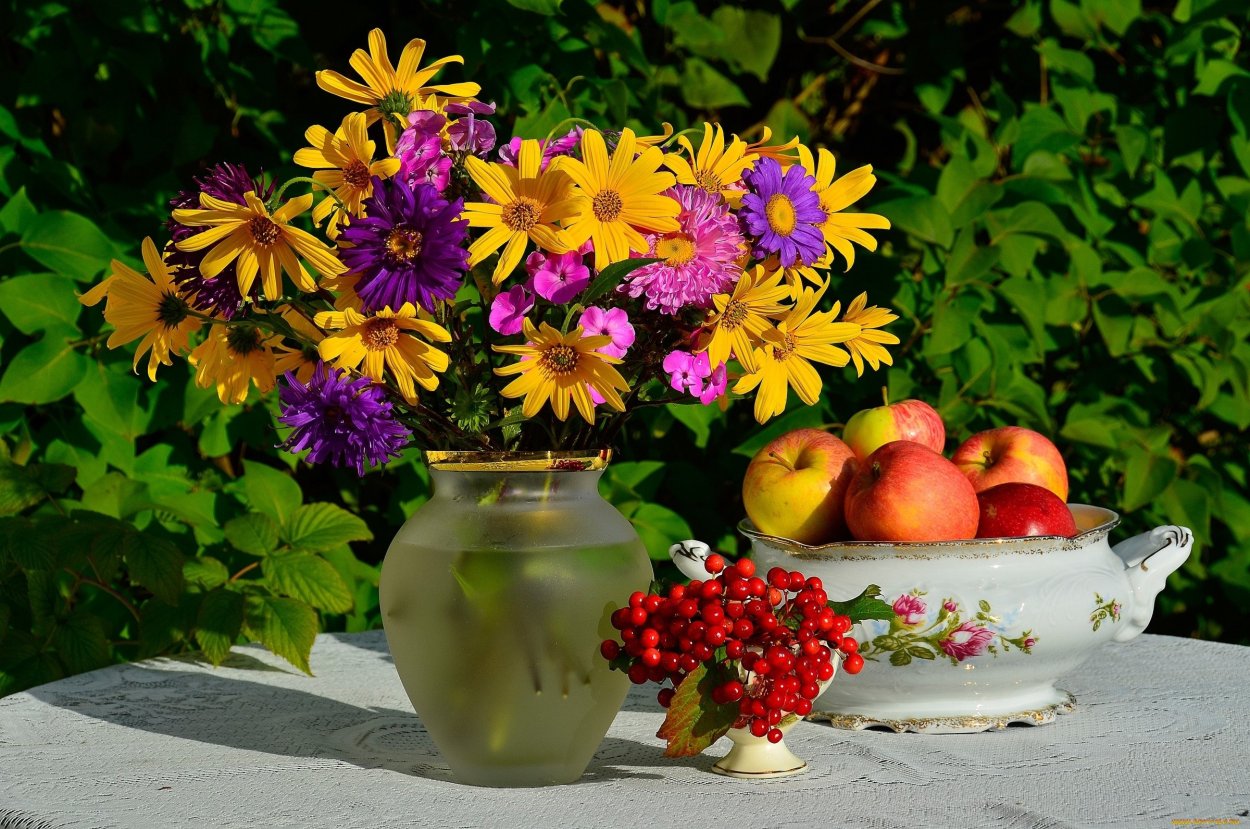 Август — астры, август — звезды, август — грозди