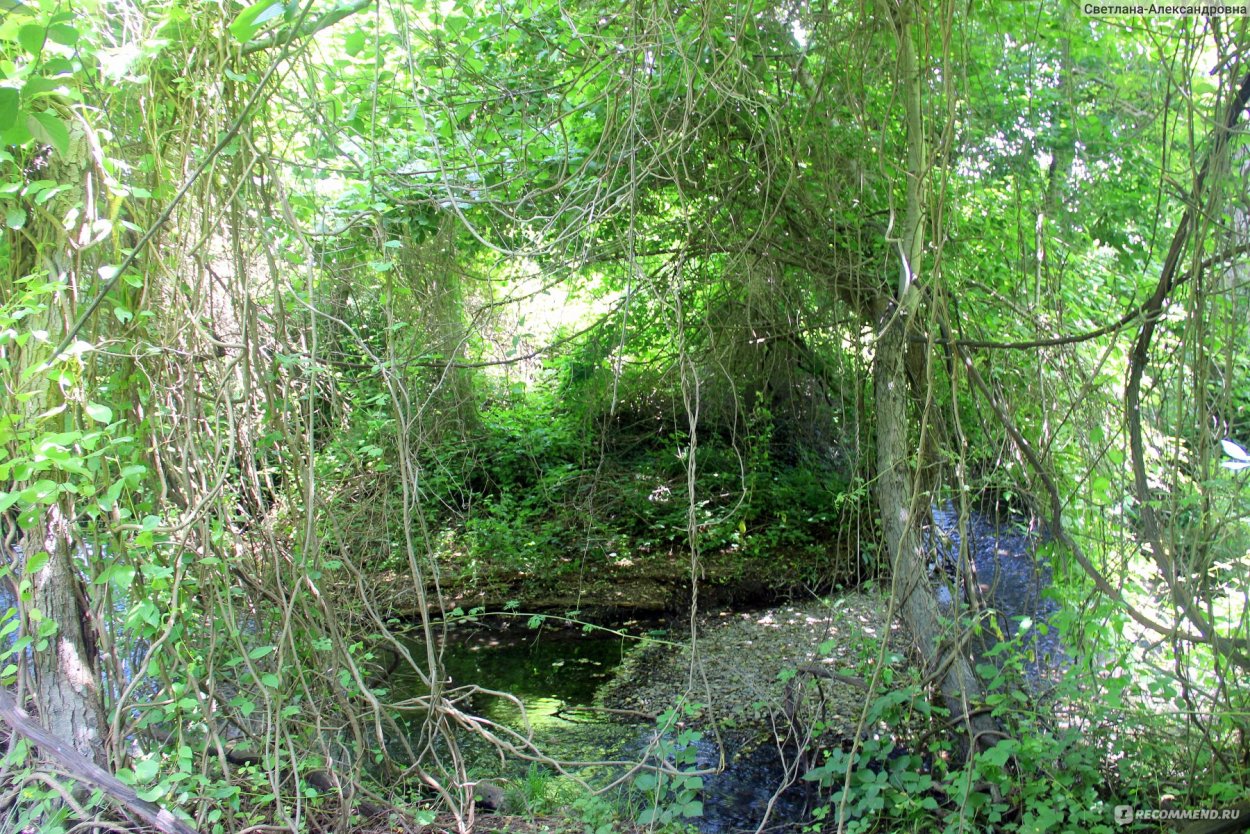 Национальный парк Самурский лес