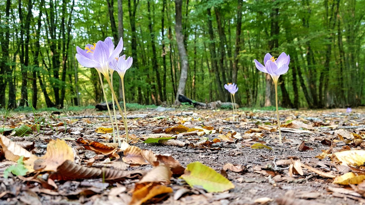 Самурский национальный парк