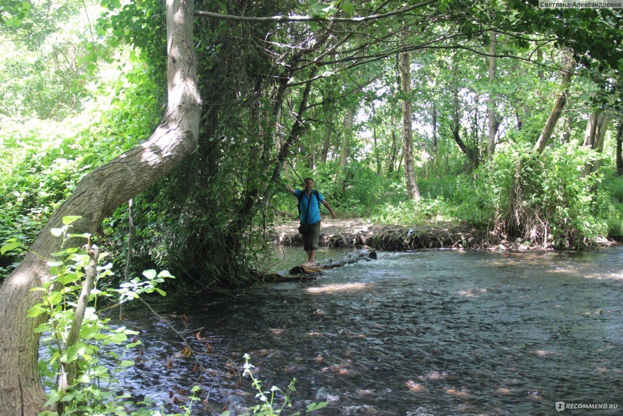 Самурский лес (Магарамкентский район)