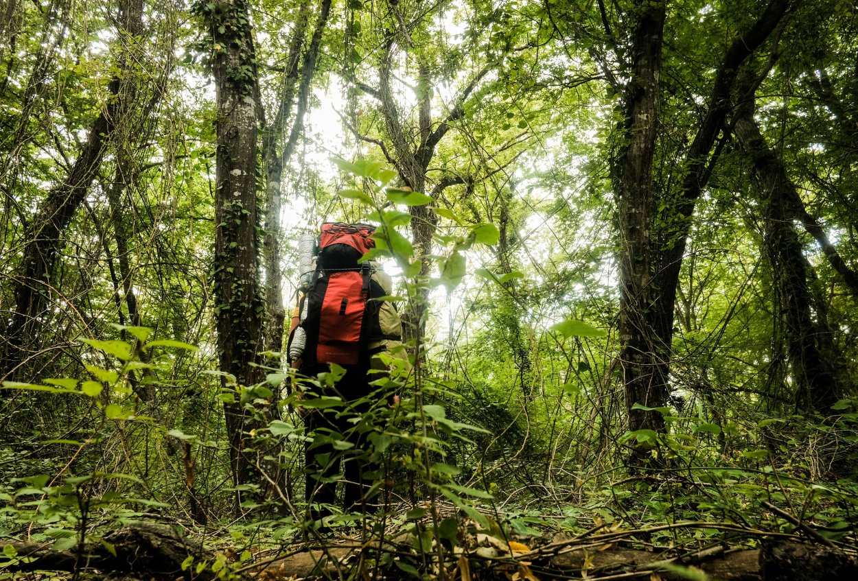 Парк орхидей в Сочах