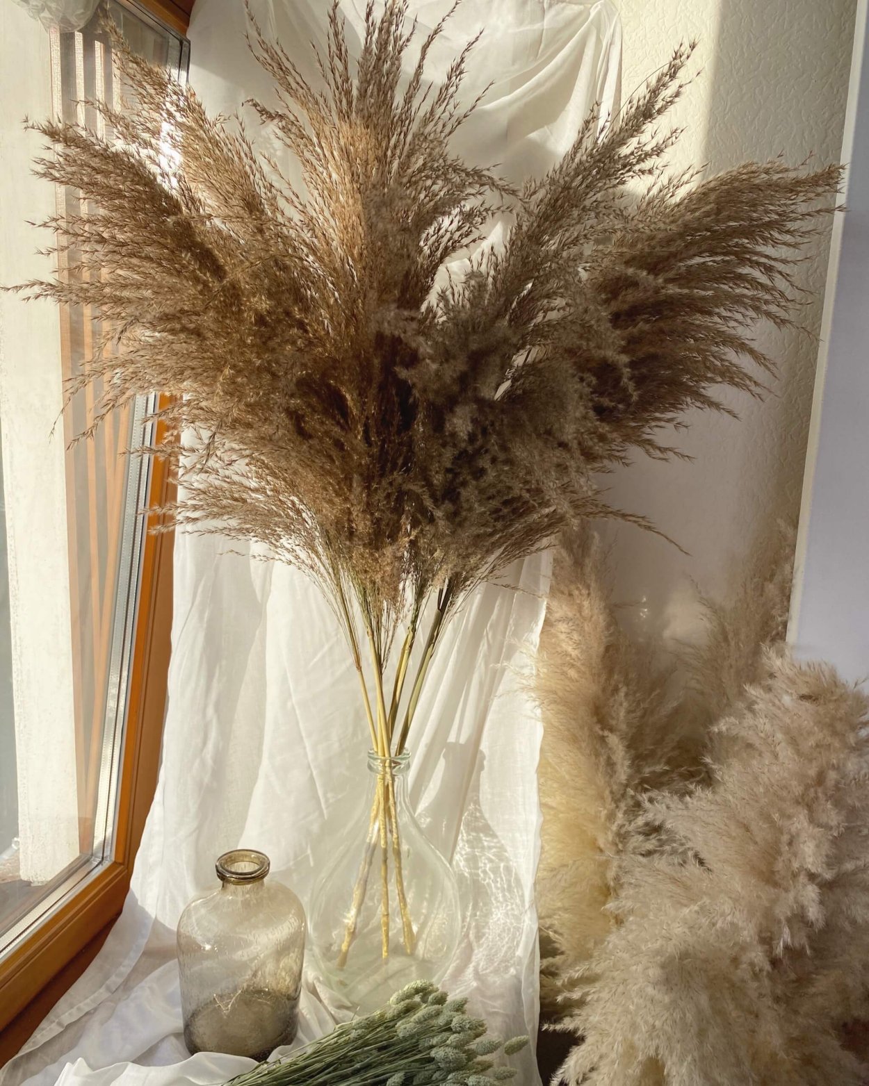 Сухоцветы пампасная трава, камыш