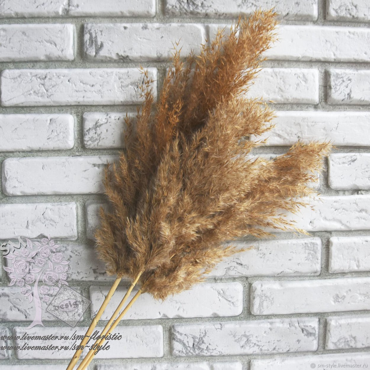 Сухой камыш в вазе