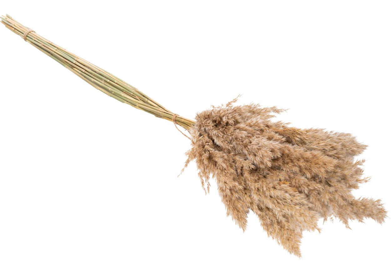 Букет с пампасной травой