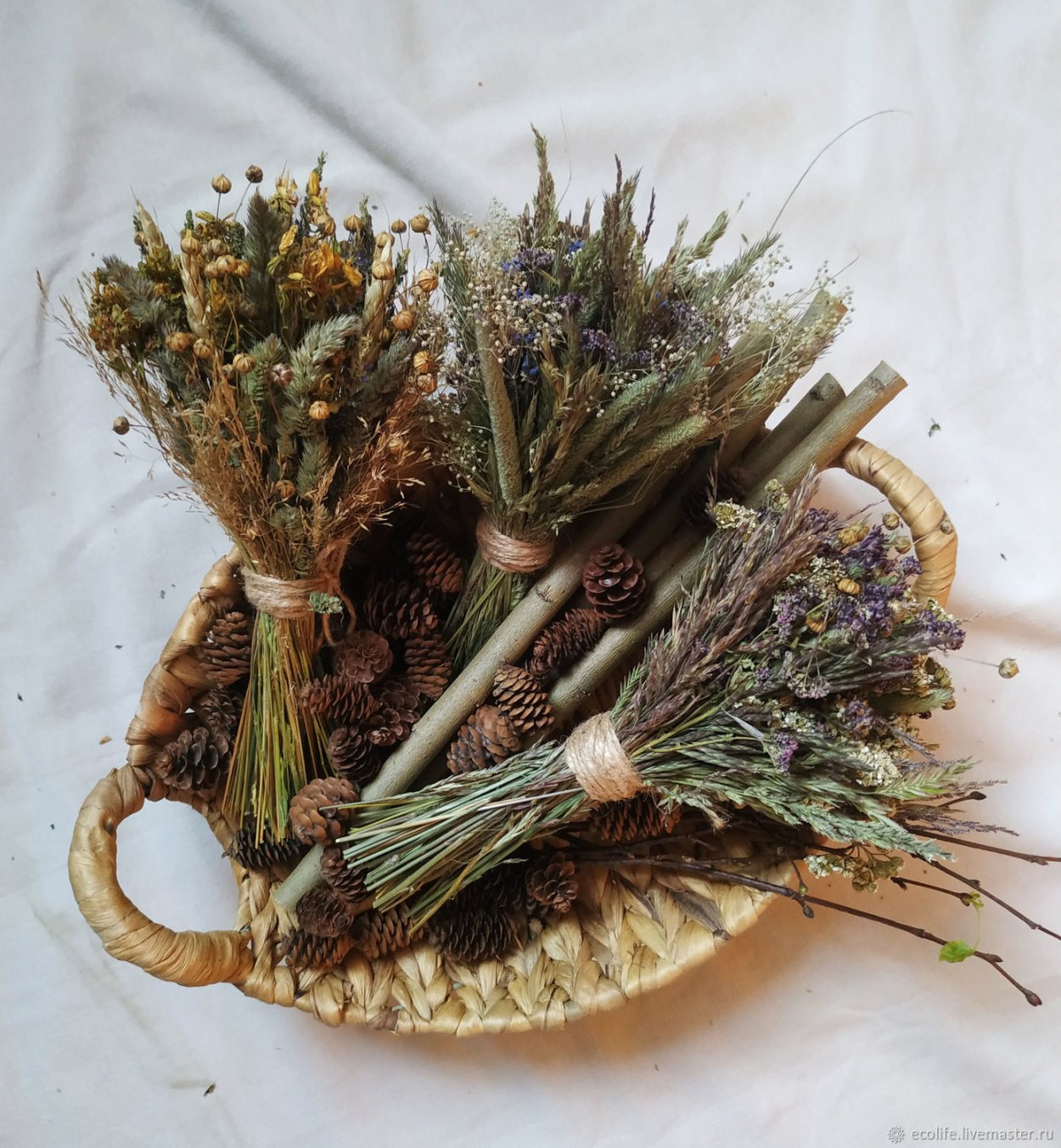 Пампасная трава cухоцвет