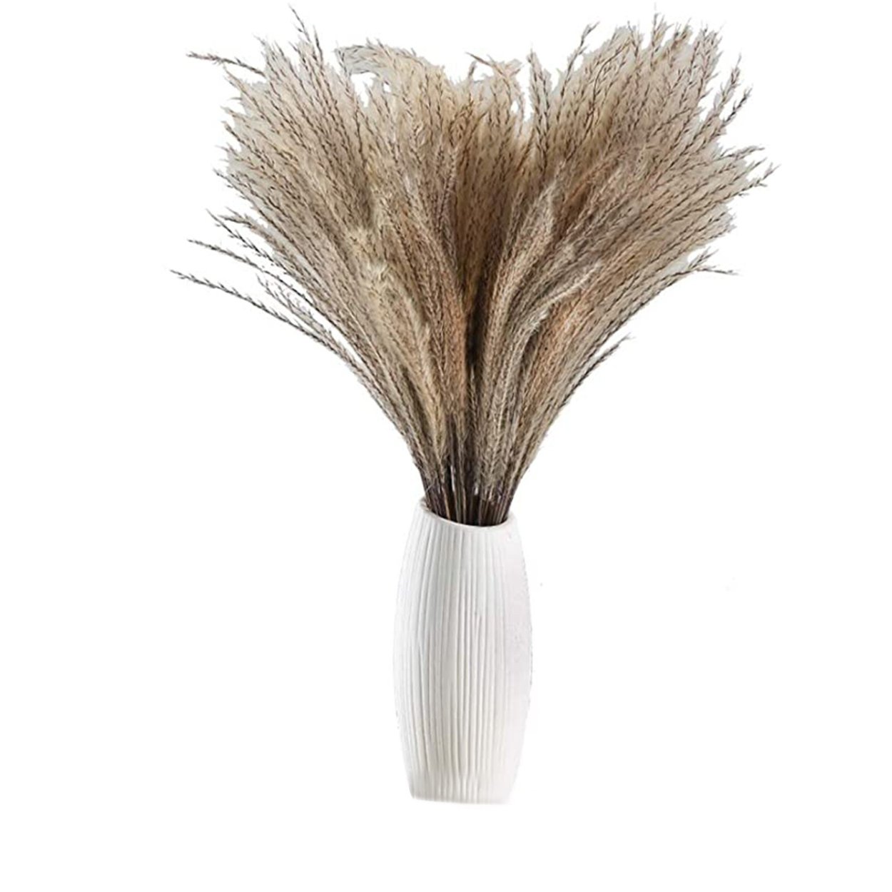 Пампасная трава сухой букет