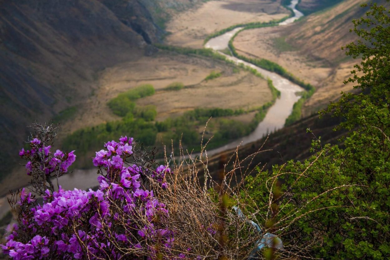 Саяны Долина Алтайский край