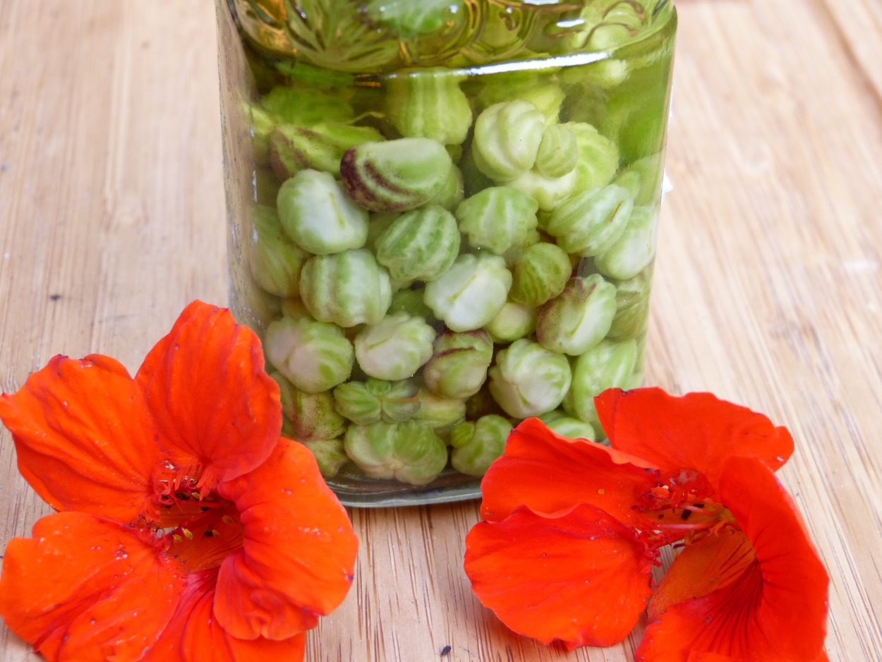 Каперсы бутоны