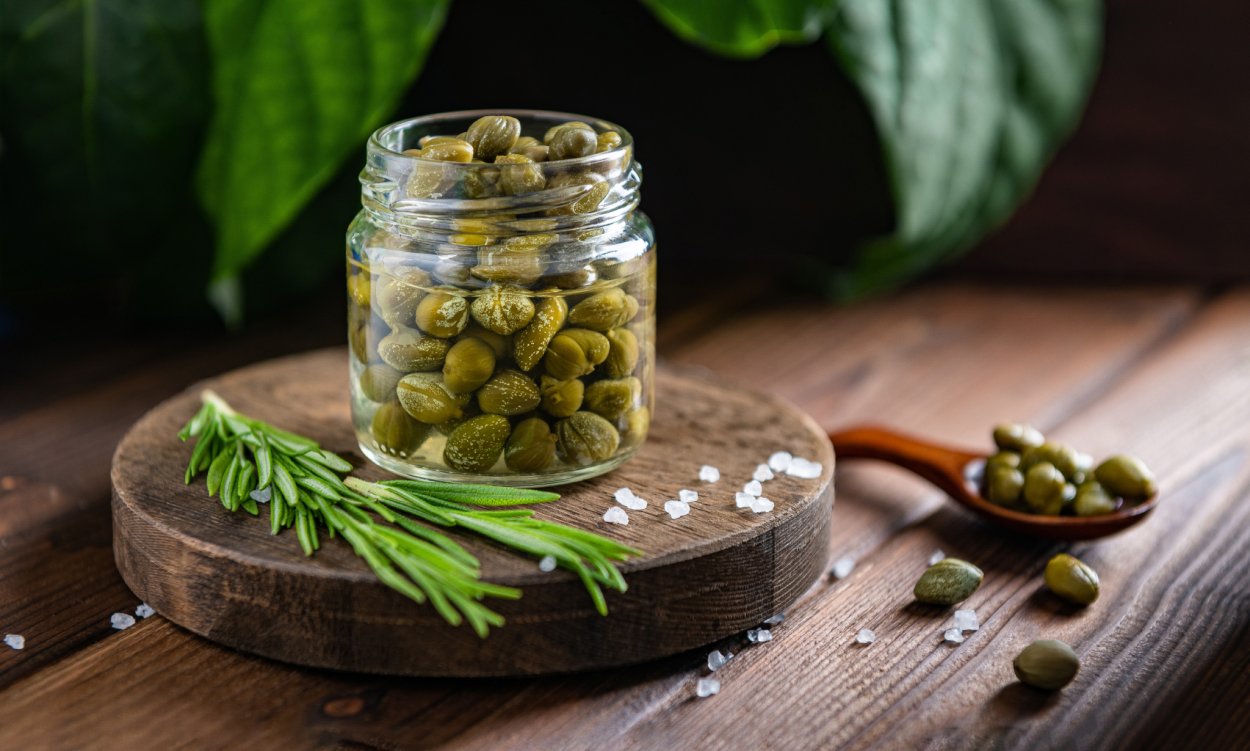 Каперсы растение