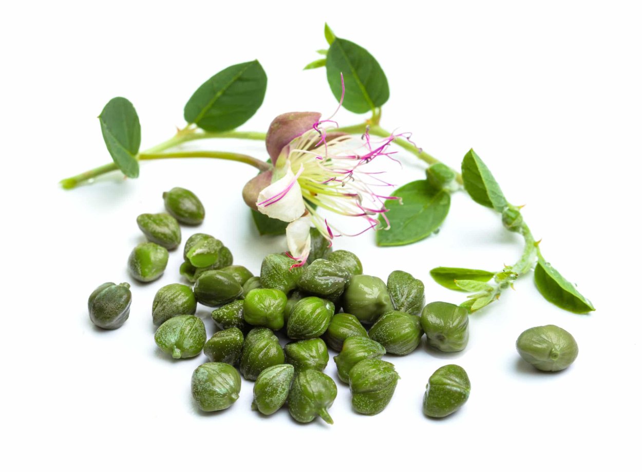 Capparis herbacea каперсы