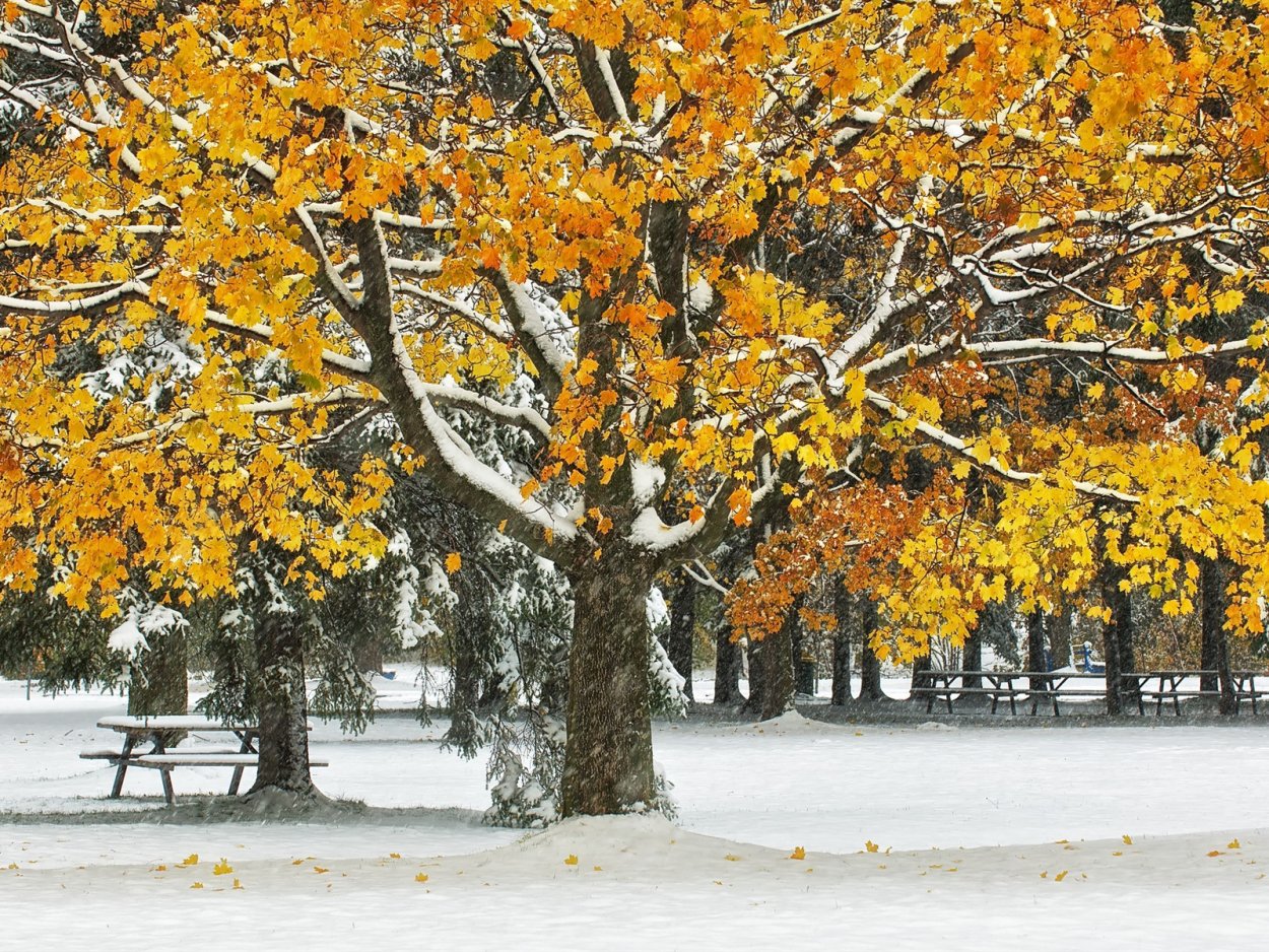 Необычные зимние пейзажи