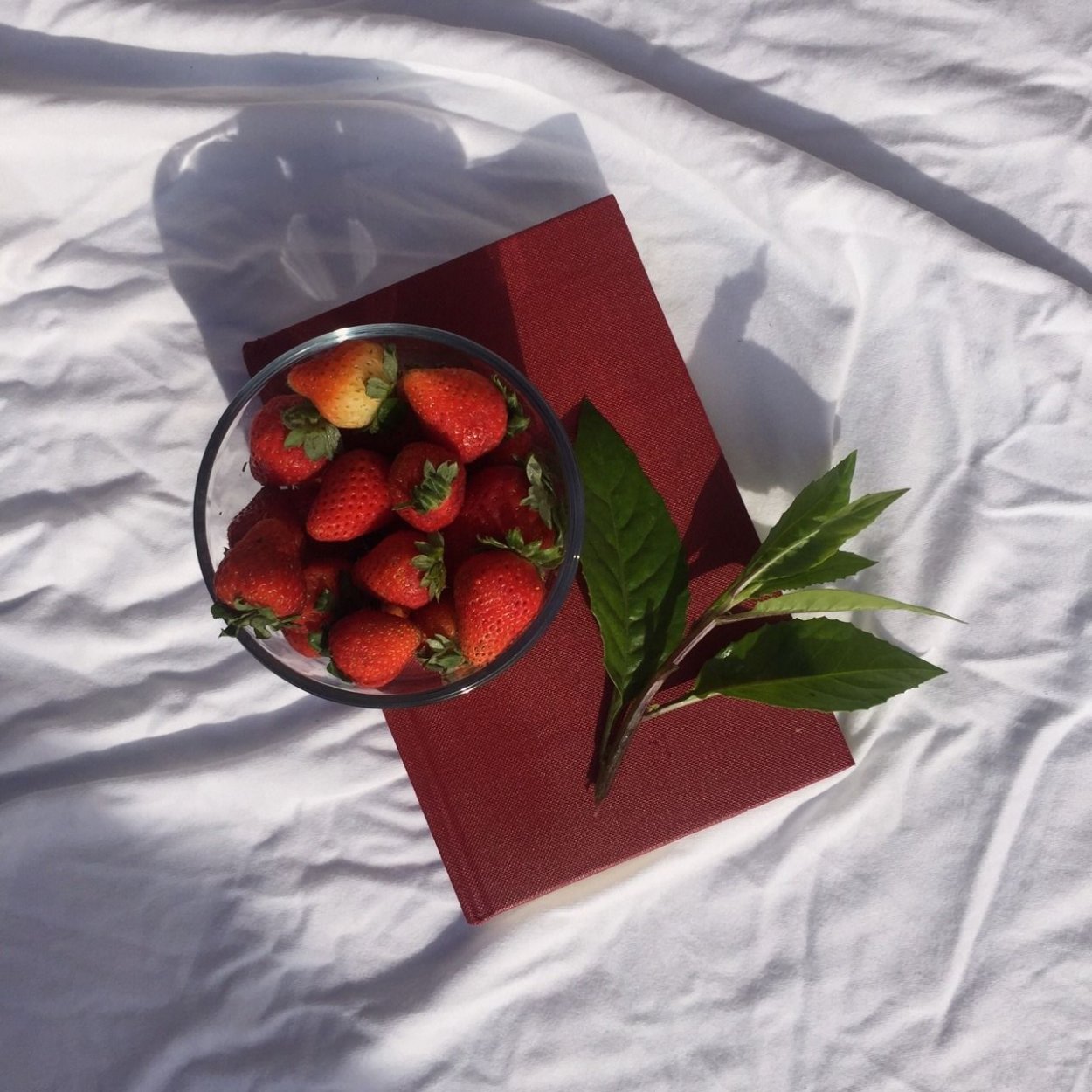 Эстетика красного цвета еда