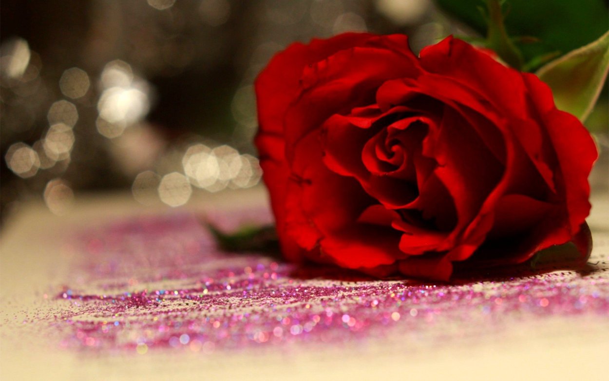 Шикарные цветы