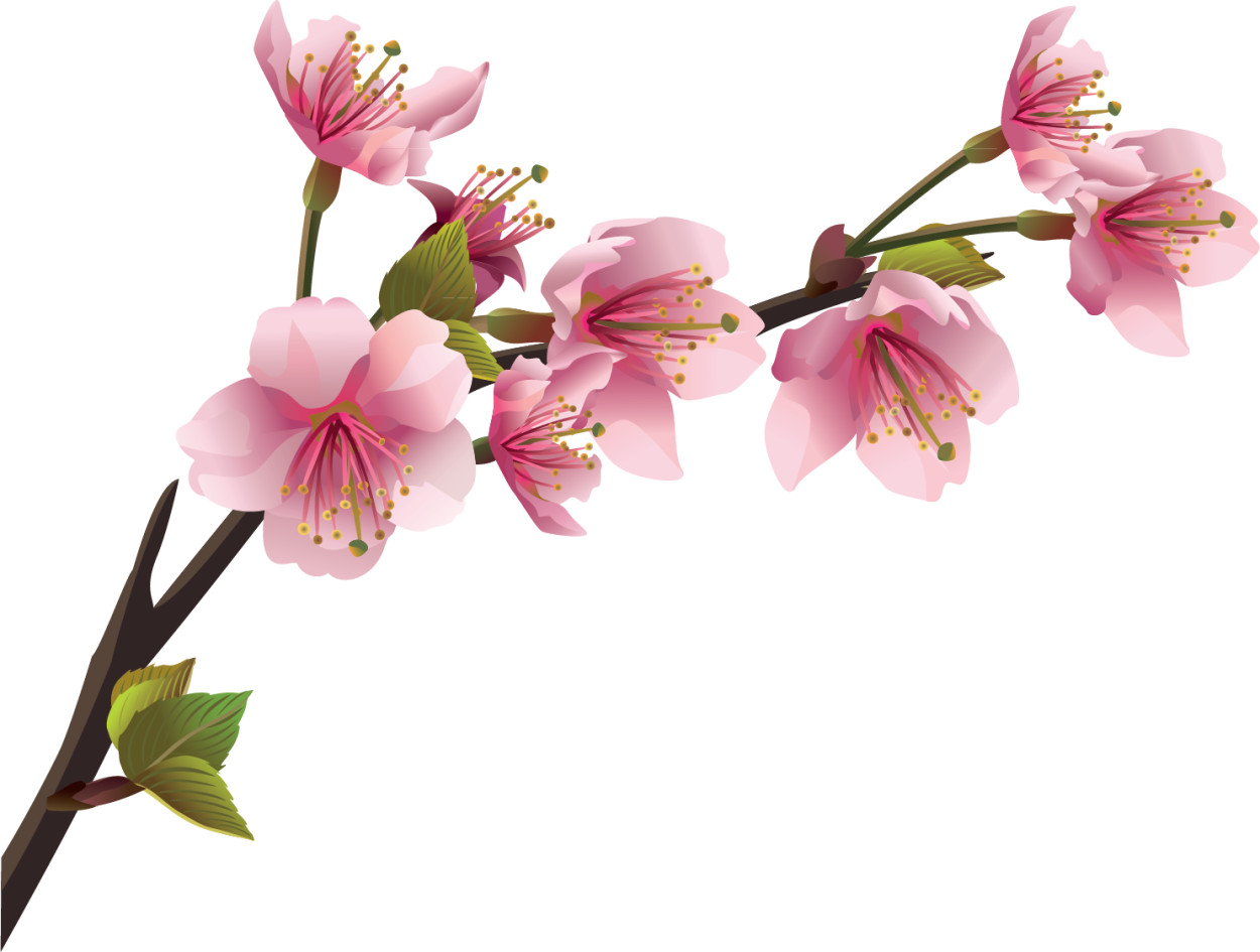 Цветы на ветке