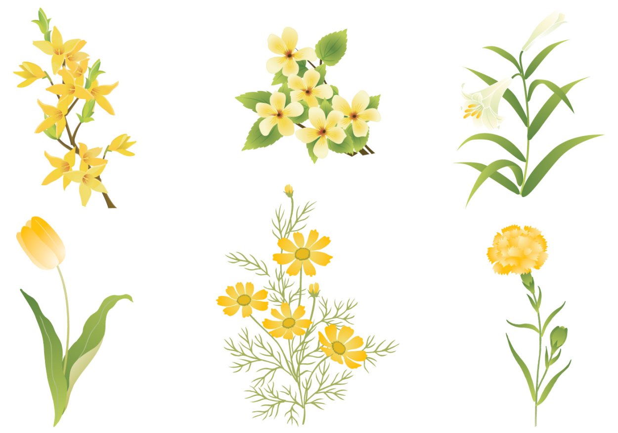 Желтые цветы нарисованные