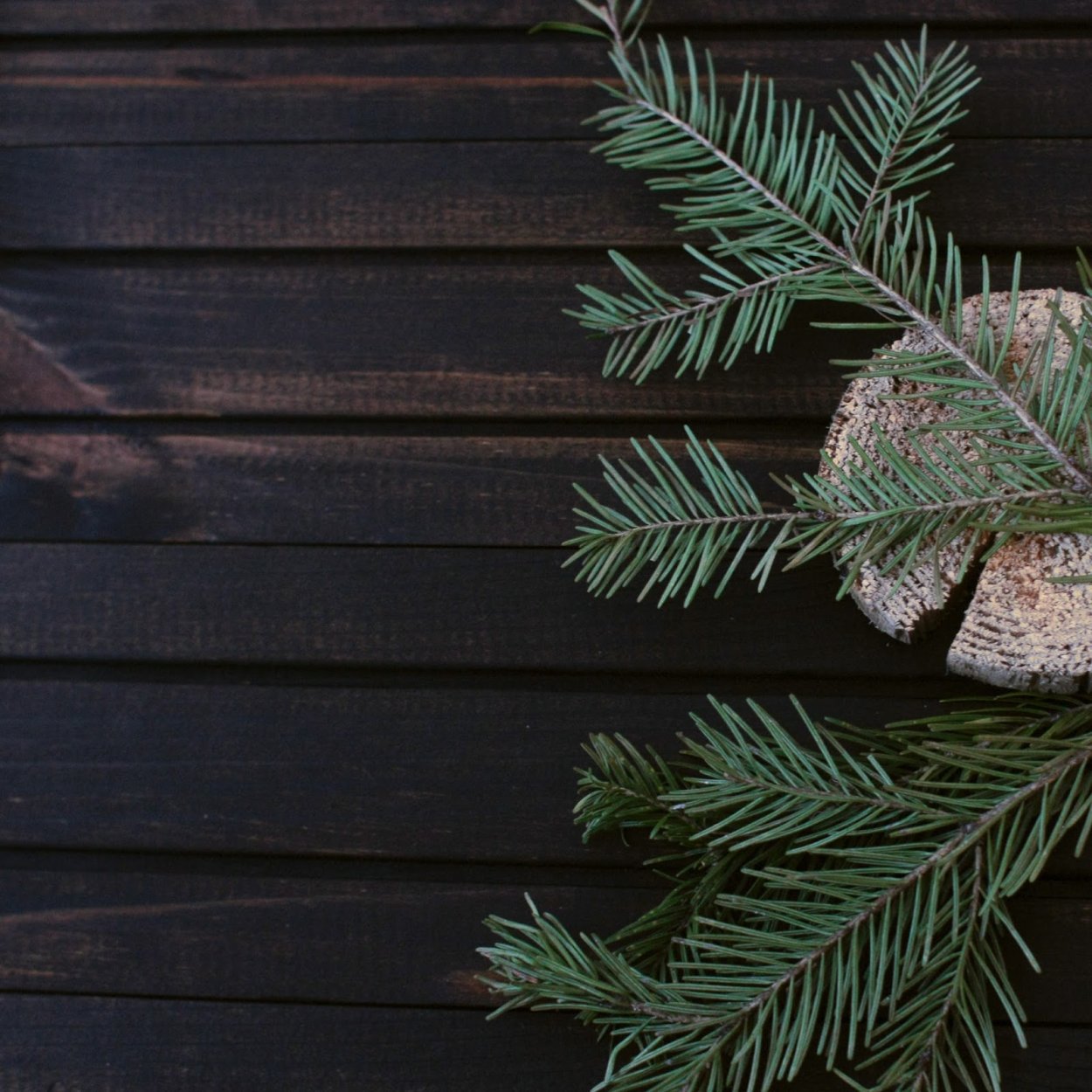 Новогодний фотофон для ногтей