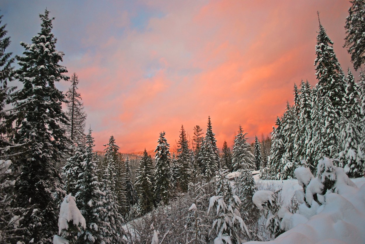 Сибирское здоровье вывеска