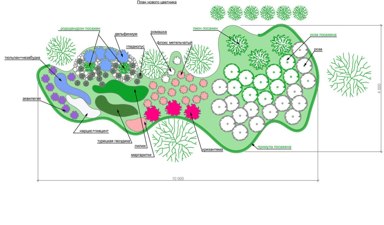 Клумба с хвойными и многолетниками схема