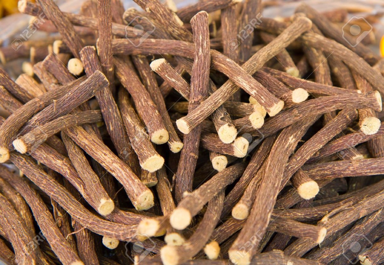 Растение с белым сладким корнем