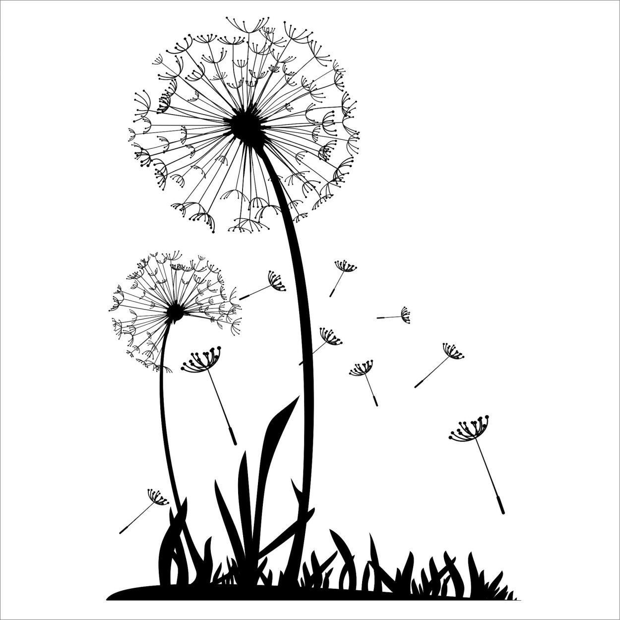 Одуванчик черно-белый рисунок