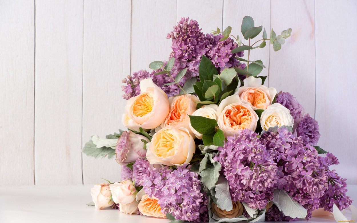 Сиреневые, васильковые оттенки