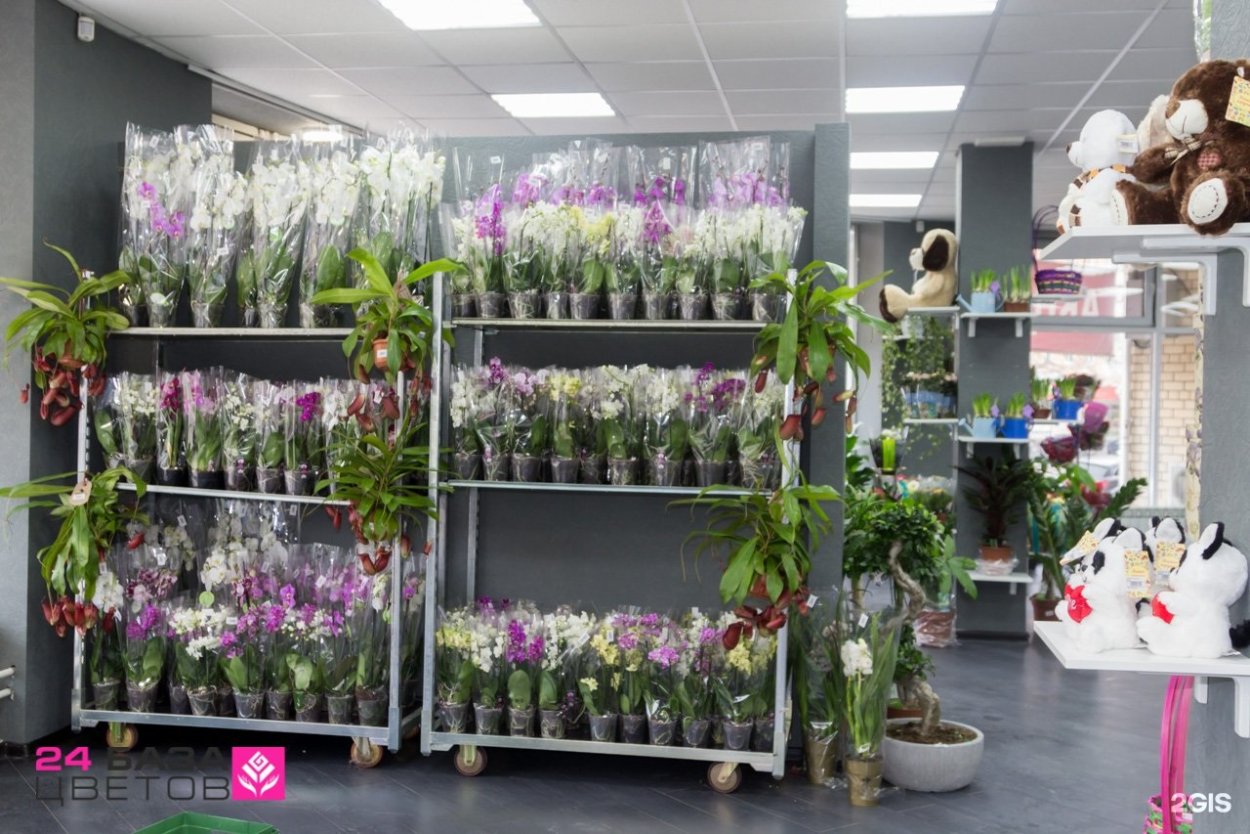 Ромашки и васильки в полке