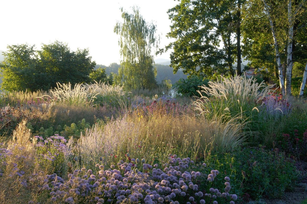 Сады пита Удольфа