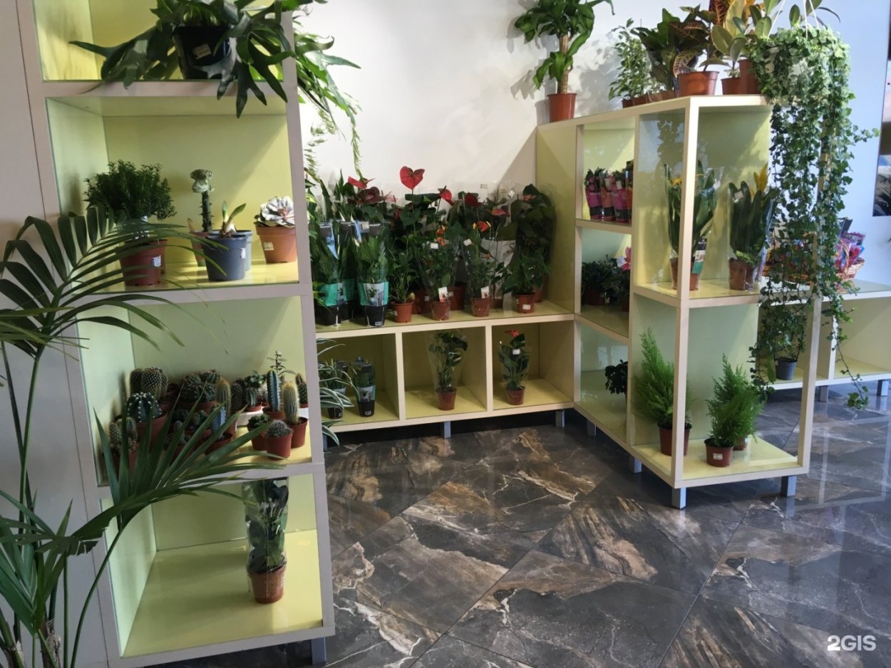 Сканпорт логотип