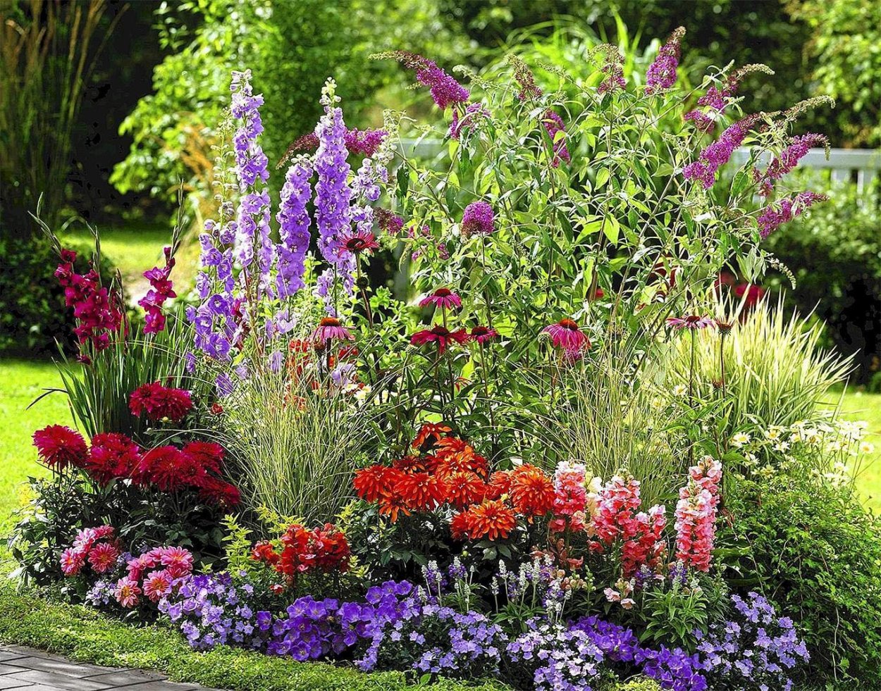 Травосмесь мавританский газон