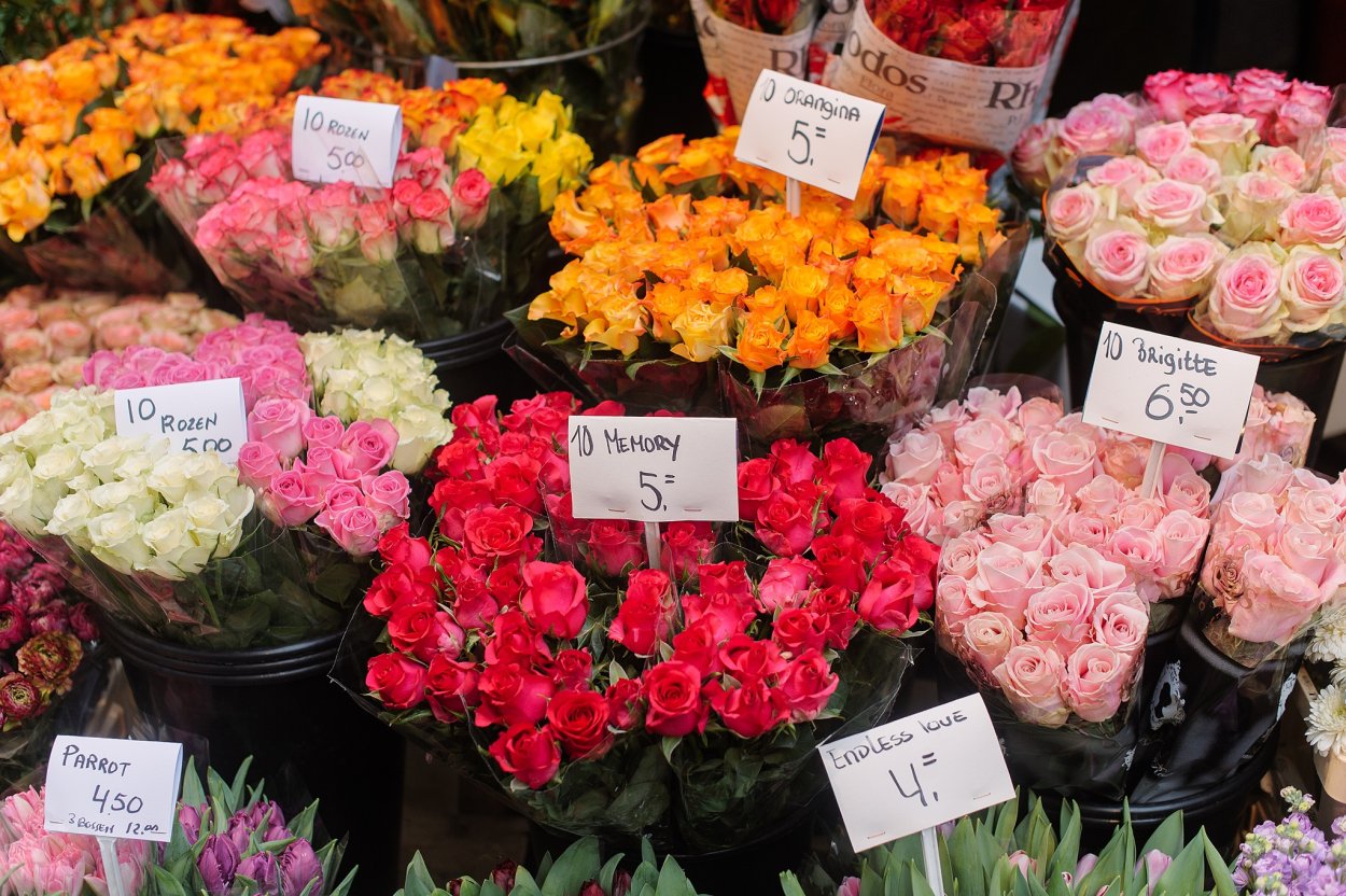 Луговой медонос синий