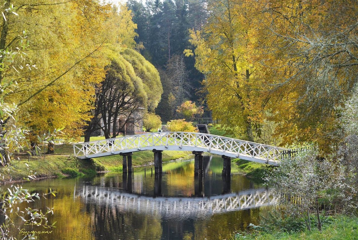Музей усадьба Ганнибала Петровское