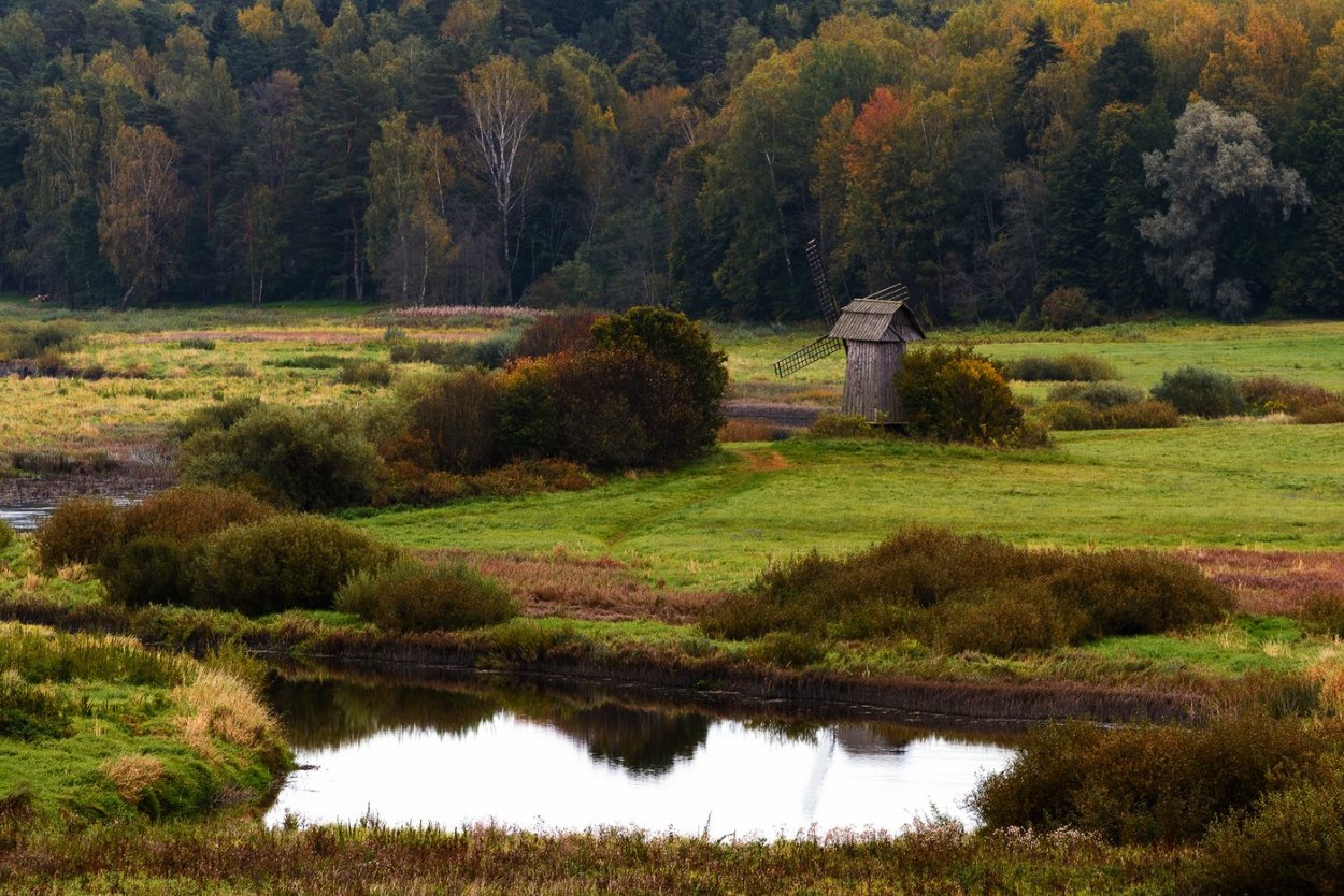 Михайловское Пушкинские горы мельница