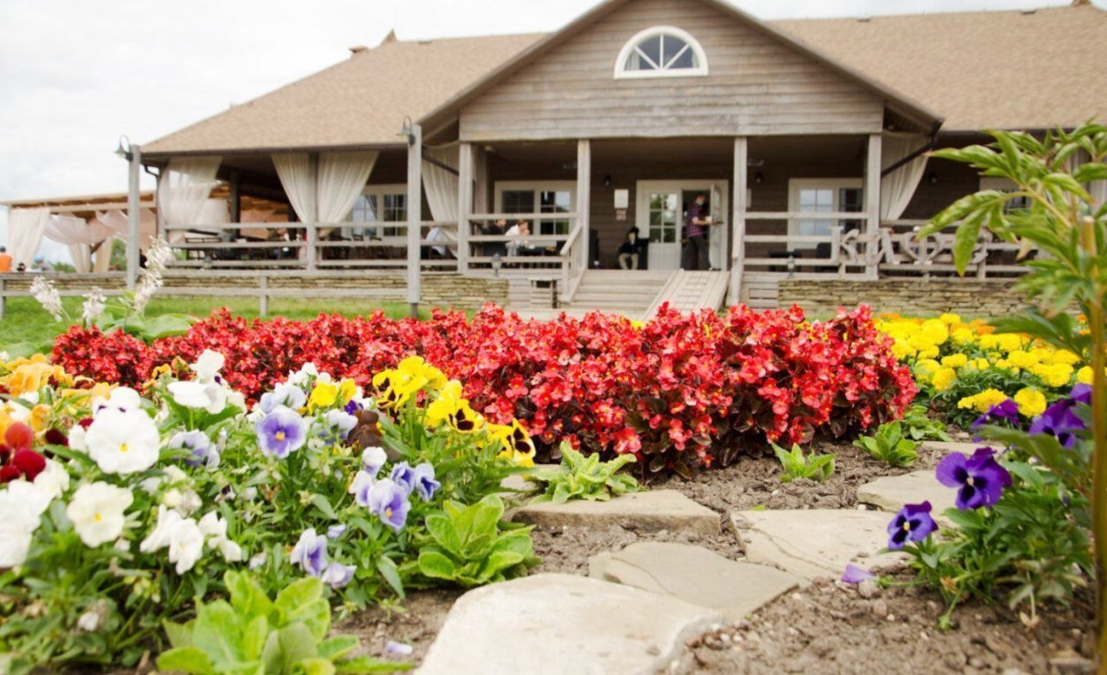 Португалия Азоры острова гортензия