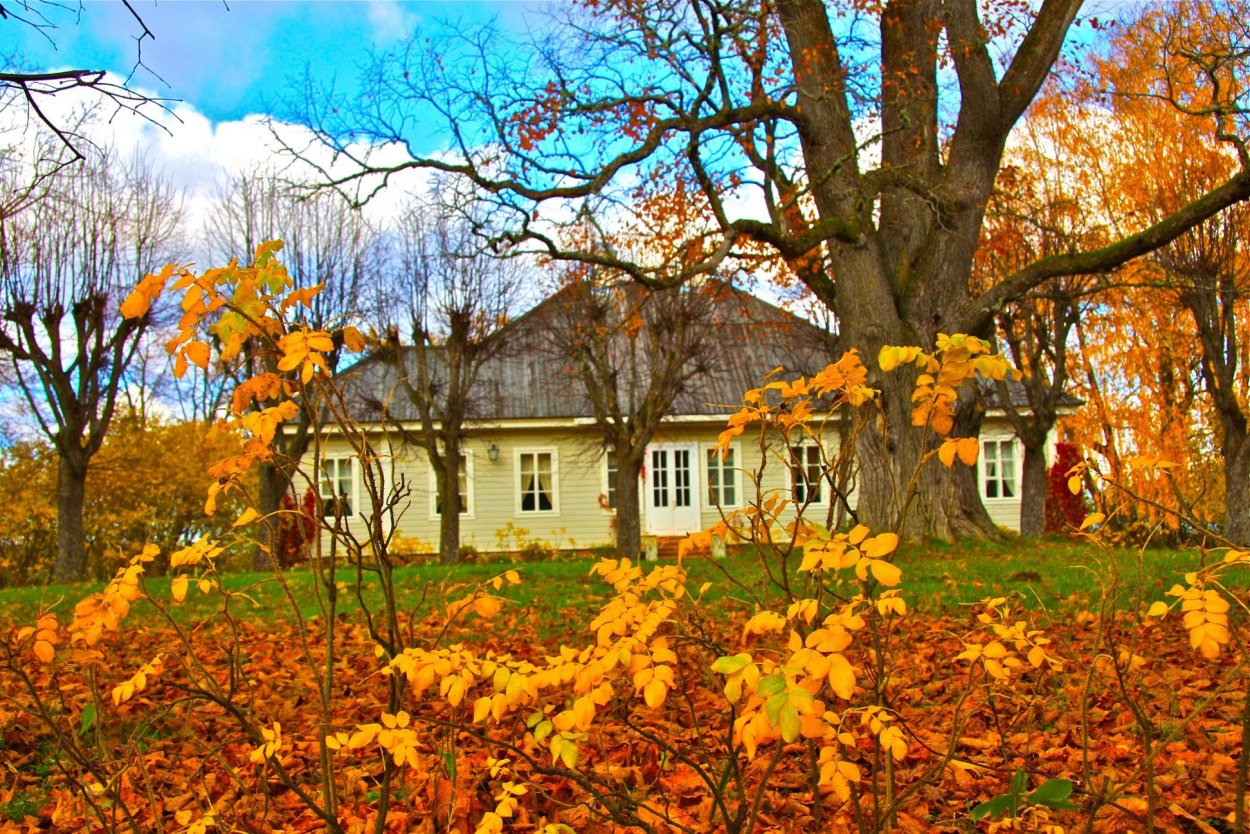 Пушкинские горки в Псковской области