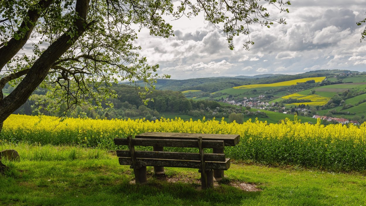 Утро в горах