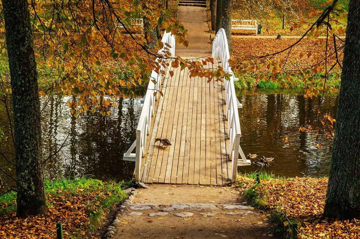 Домик в горах Весна