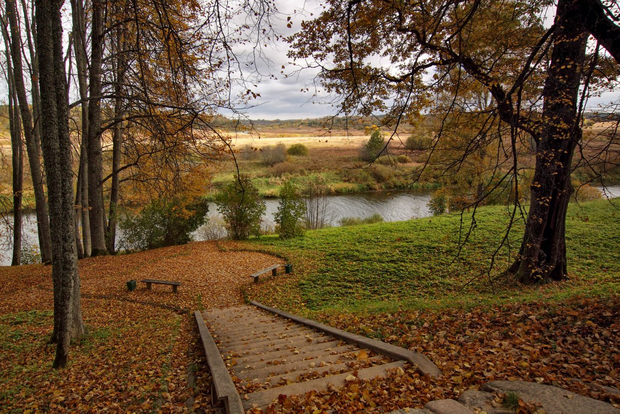Национальный парк Олимпик Луга горы цветы Поляна