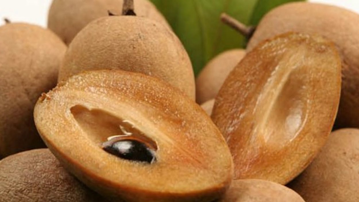 Саподилла чику