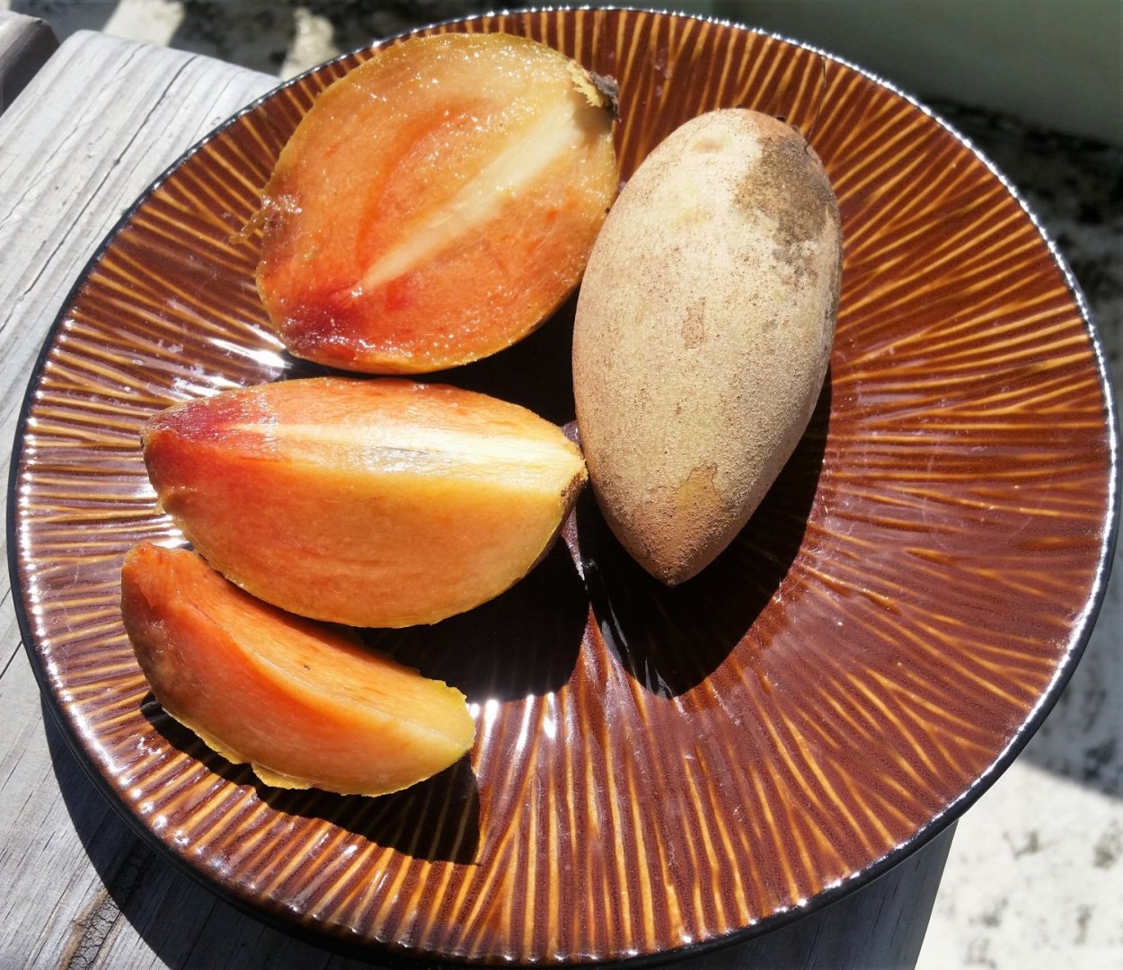 Дерево манилкара